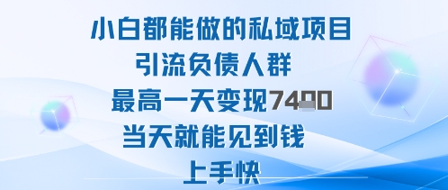 2025年小白都能做的私域项目引流负债人群最高一天变现1k+高变现难度低当天就能见到钱上手快-lhxm