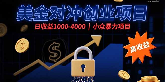 美金对冲创业项目，日收益1000-4000，小众暴力项目-lhxm