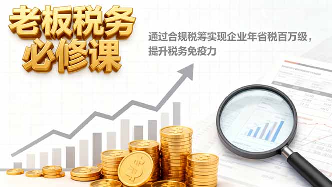 老板税务必修课，通过合规税筹实现企业年省税百万级，提升税务免疫力-lhxm