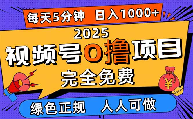 2025视频号0撸项目，5分钟一个号，日入1000+，人人可做-lhxm