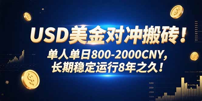 USD美金对冲搬砖!单人单日800-2000CNY，长期稳定运行8年之久!-lhxm