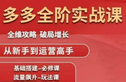 大炮·拼多多全阶实战课程(更新10月)-lhxm