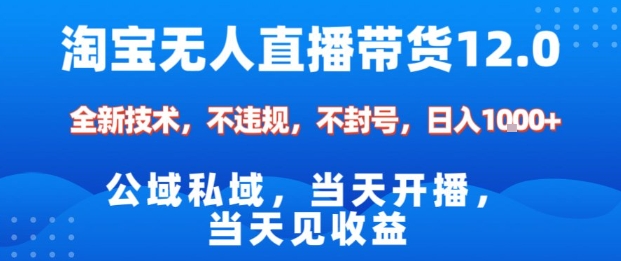 淘宝无人直播12.0，公域私域技术，不封号，不违规布局双十一流量风口，日入1k(独家技术)【揭秘】-lhxm