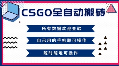 CSGO全自动搬砖，年底钱回家好项目，当天可拿到结果，新手小白轻松月入1W+【揭秘】-lhxm