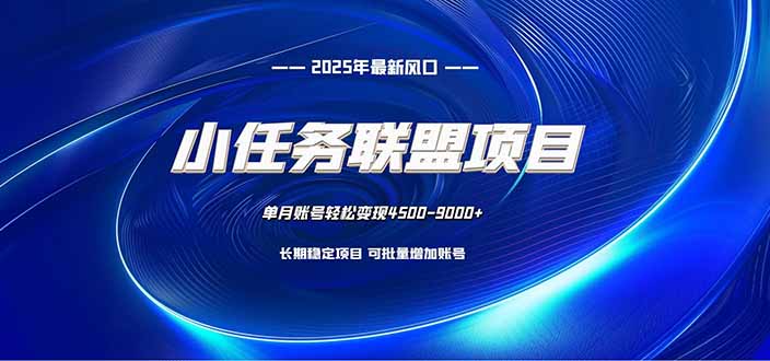 小任务联盟项目：一台电脑每天只需10分钟，轻松简单稳定-lhxm