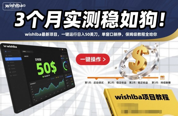 3个月实测稳如狗！wishlba最新项目，一键运行日入50美刀，单窗口躺挣，保姆级教程全给你【揭秘】-lhxm