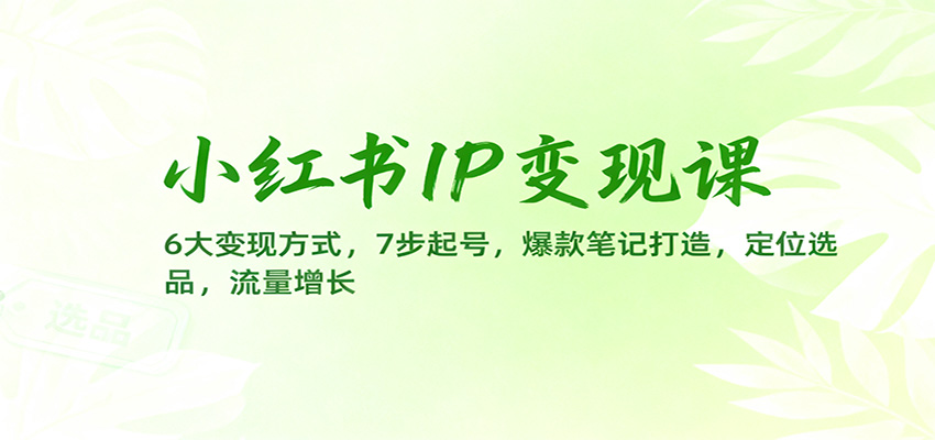 小红书IP变现课：6大变现方式，7步起号，爆款笔记打造，定位选品，流量增长-lhxm