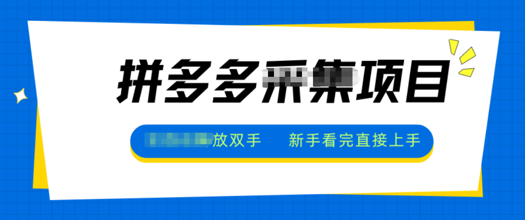 拼多多电商采集，一小时50+，操作简单，零投资-lhxm