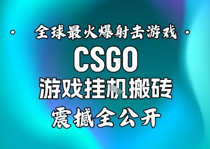 【年底大揭秘】基于全球最火爆的射击CSGO游戏挂G搬砖，日入5张+，震撼公开-lhxm
