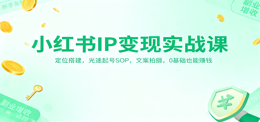 小红书IP变现实战课：定位搭建，光速起号SOP，文案拍摄，0基础也能赚钱-lhxm