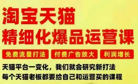 淘宝天猫精细化爆品运营课，免费流量打法-付费广告放大-利润增长-三大核心痛点，一次全部解决-lhxm