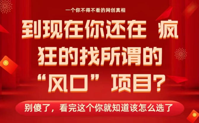 马上26年了，你还在找所谓的风口项目？别傻了，看完这个你全都懂了！【揭秘】-lhxm