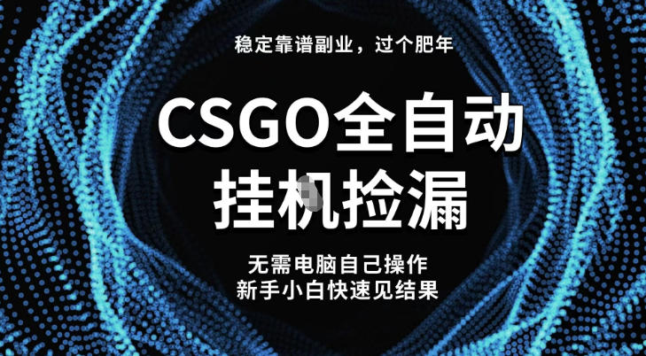 【稳定副业】全球最热门游戏CSGO全自动捡漏，最新玩法，新手小白日入5张+【揭秘】-lhxm