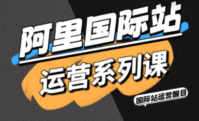 醒目老师·阿里国际站运营系列课(更新11月)-lhxm