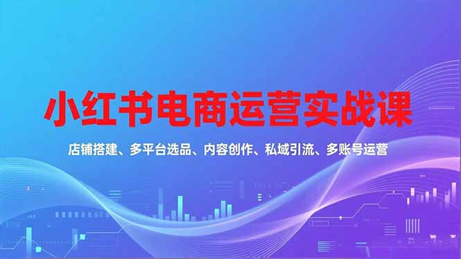 小红书电商运营实战课，店铺搭建、多平台选品、内容创作、私域引流、多账号运营等玩法-lhxm