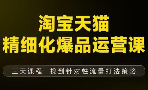 猫课子幽·淘宝天猫精细化爆品运营【音频+字幕+文档】(9月12-14杭州线下课)-lhxm