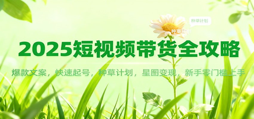 2025短视频带货全攻略：爆款文案，快速起号，种草计划，星图变现，新手零门槛上手-lhxm